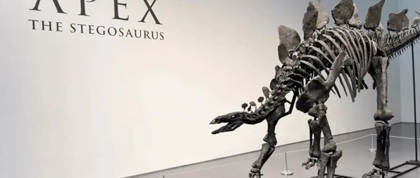 Американский миллиардер покупает скелет динозавра за 45 миллионов долларов и устанавливает аукционные рекорды