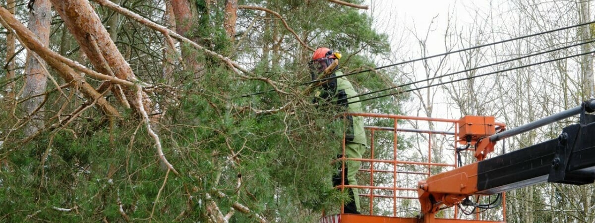 На Гродненщине из-за снега без света остались более 50 населённых пунктов — Фото