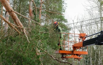 На Гродненщине из-за снега без света остались более 50 населённых пунктов — Фото