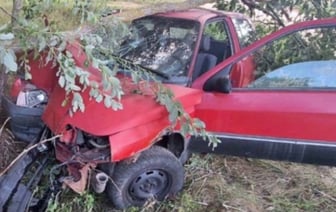 В Пружанском районе нетрезвый водитель врезался в дерево