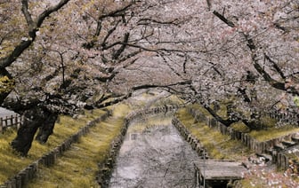 В Полоцке при содействии ЮНИСЕФ открыли уникальную инклюзивную детскую площадку