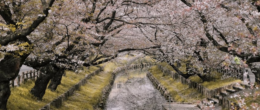 В Полоцке при содействии ЮНИСЕФ открыли уникальную инклюзивную детскую площадку