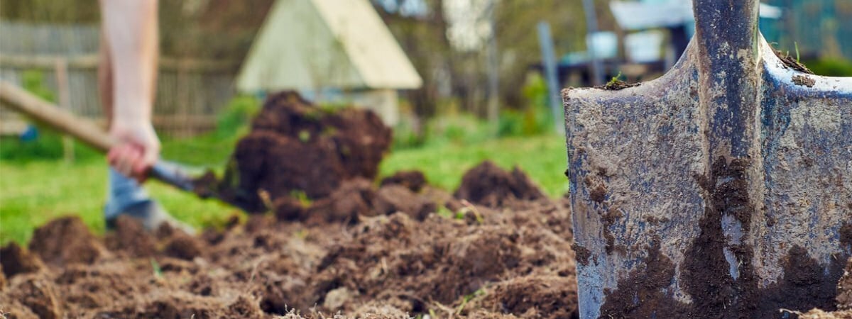 Штраф от 400 рублей. Инспекторы объяснили, когда за помощь соседу белорусам нужно заплатить налог — Полезно