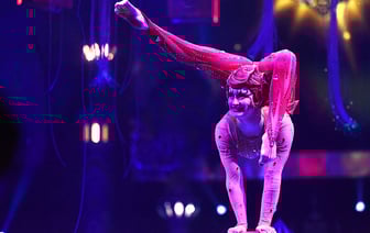 «5 континентов» Гии Эрадзе. В Гомель приедет цирк мирового уровня