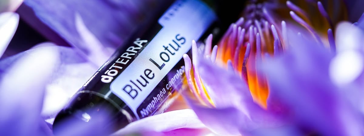 Цена на российскую нефть намного превышает установленный G7 ценовой предел