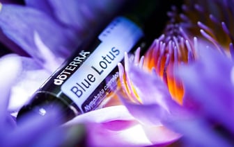 Цена на российскую нефть намного превышает установленный G7 ценовой предел