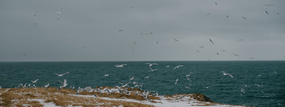 НАТО не располагает планами по сокращению присутствия войск США в Европе