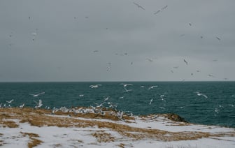 НАТО не располагает планами по сокращению присутствия войск США в Европе