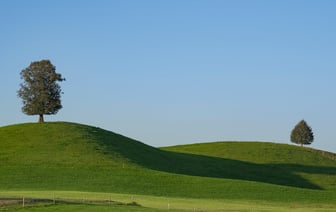 ЕБРР улучшил прогноз по росту экономики Беларуси в 2024 году