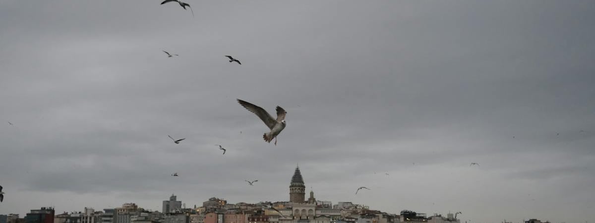 Турция не пропустит минные тральщики, подаренные Украине Британией