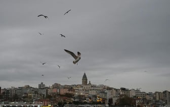 Турция не пропустит минные тральщики, подаренные Украине Британией