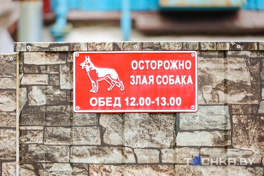 Осторожно, злые соседи. Односельчане стали врагами после нападения собаки