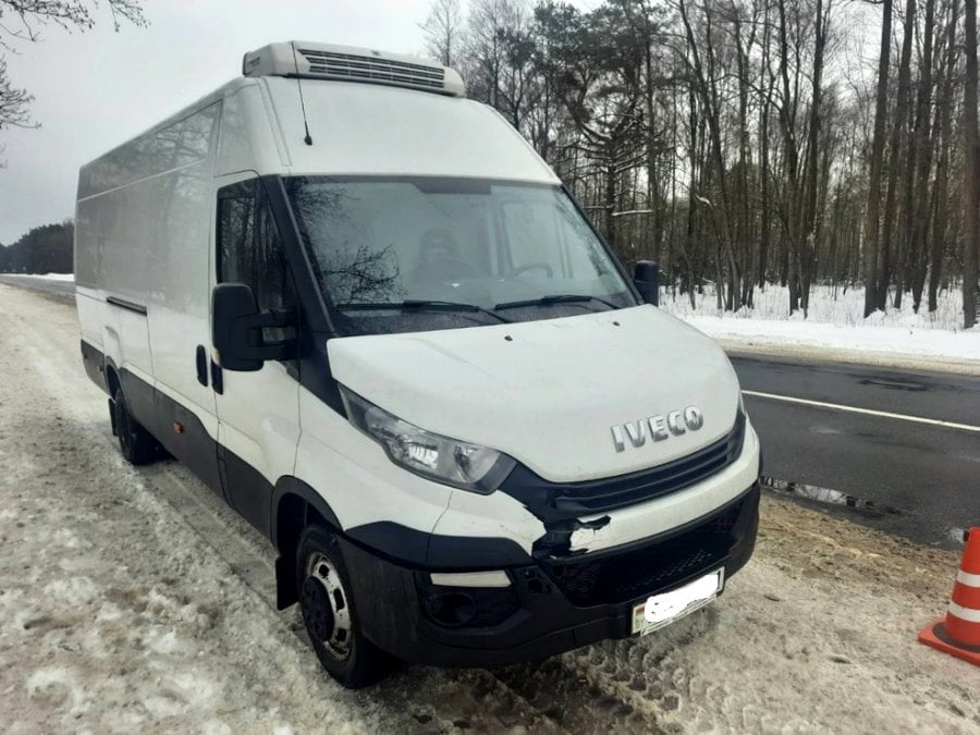 Водитель из Бреста сбил зайца