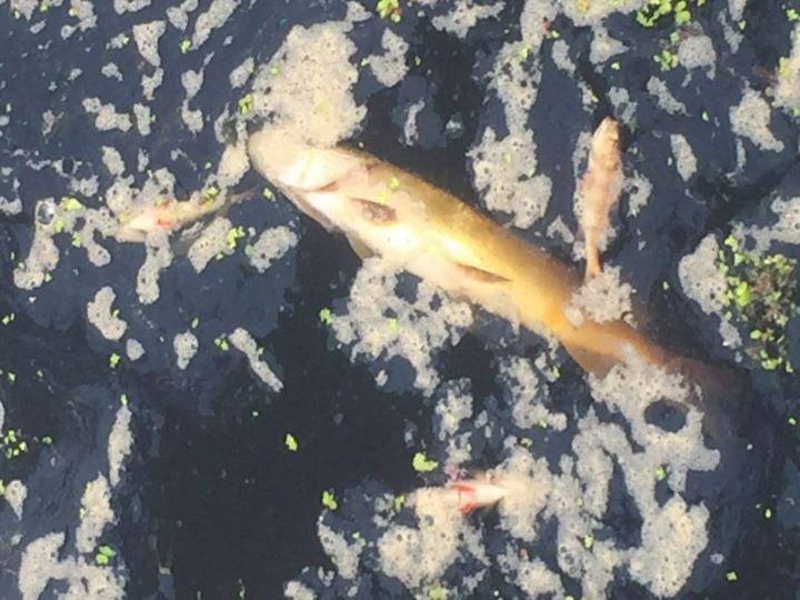 Фото из открытых источников (иллюстративное)