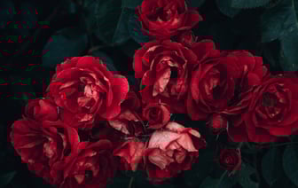 Фоторепортаж к 100-летию образования органов торговли Беларуси. Плюс видеопоздравления от полочан