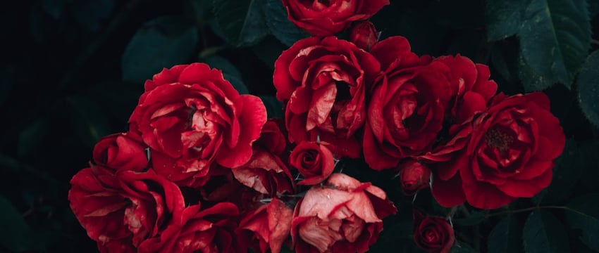 Фоторепортаж к 100-летию образования органов торговли Беларуси. Плюс видеопоздравления от полочан