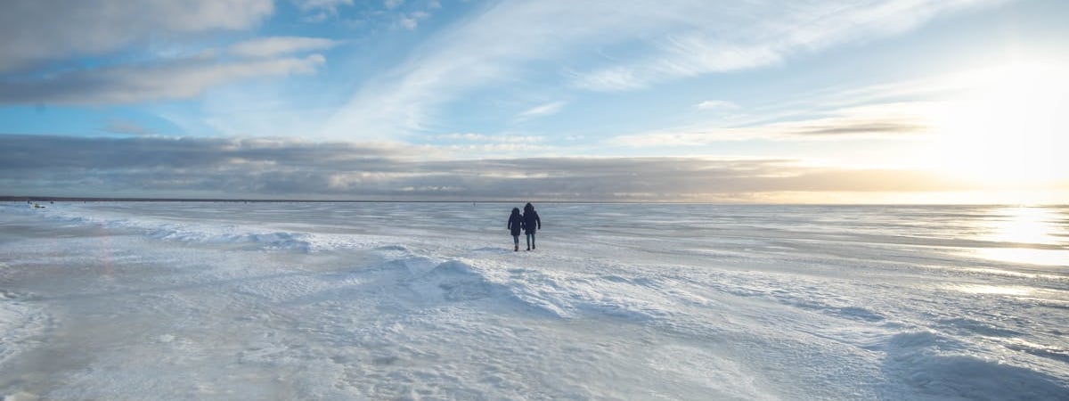 Эстония планирует построить 12 новых военных кораблей
