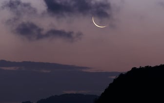 Таиланд планирует увеличить импорт американских товаров и снизить налоги на них