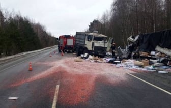 Суд вынес приговор водителю из Дрогичина, который совершил ДТП со смертельным исходом
