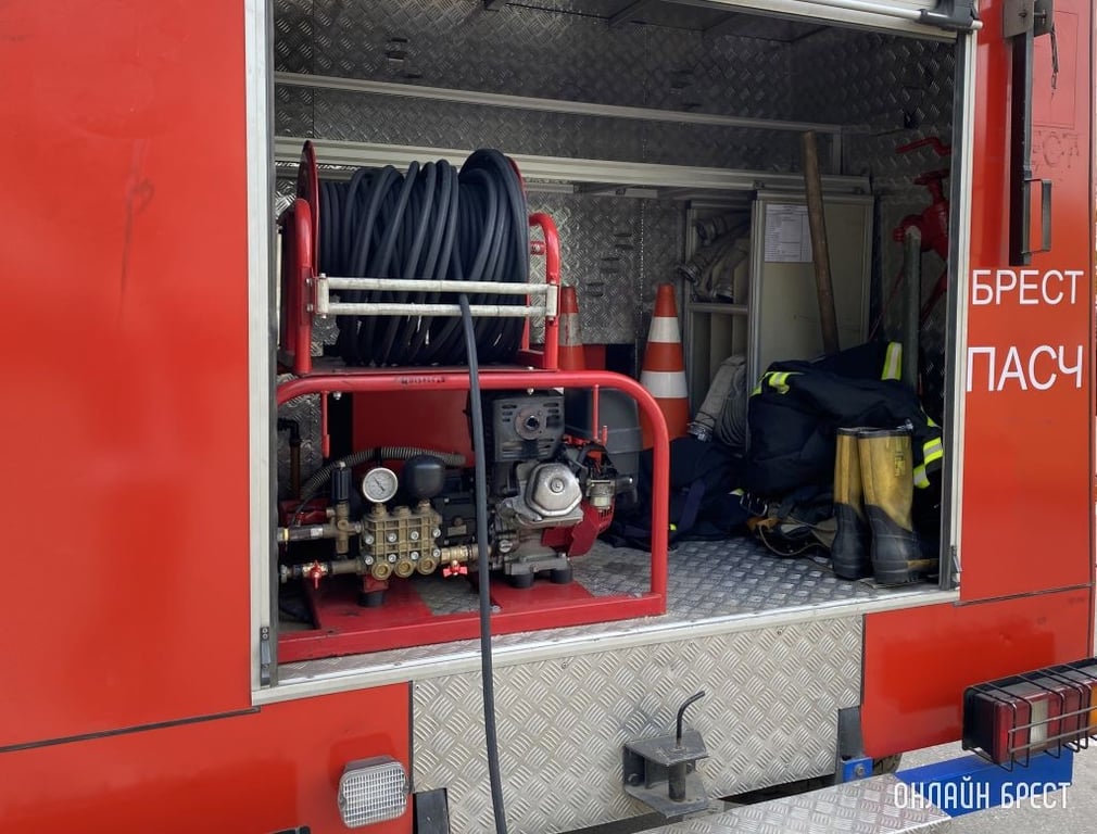 Фото носит иллюстративный характер