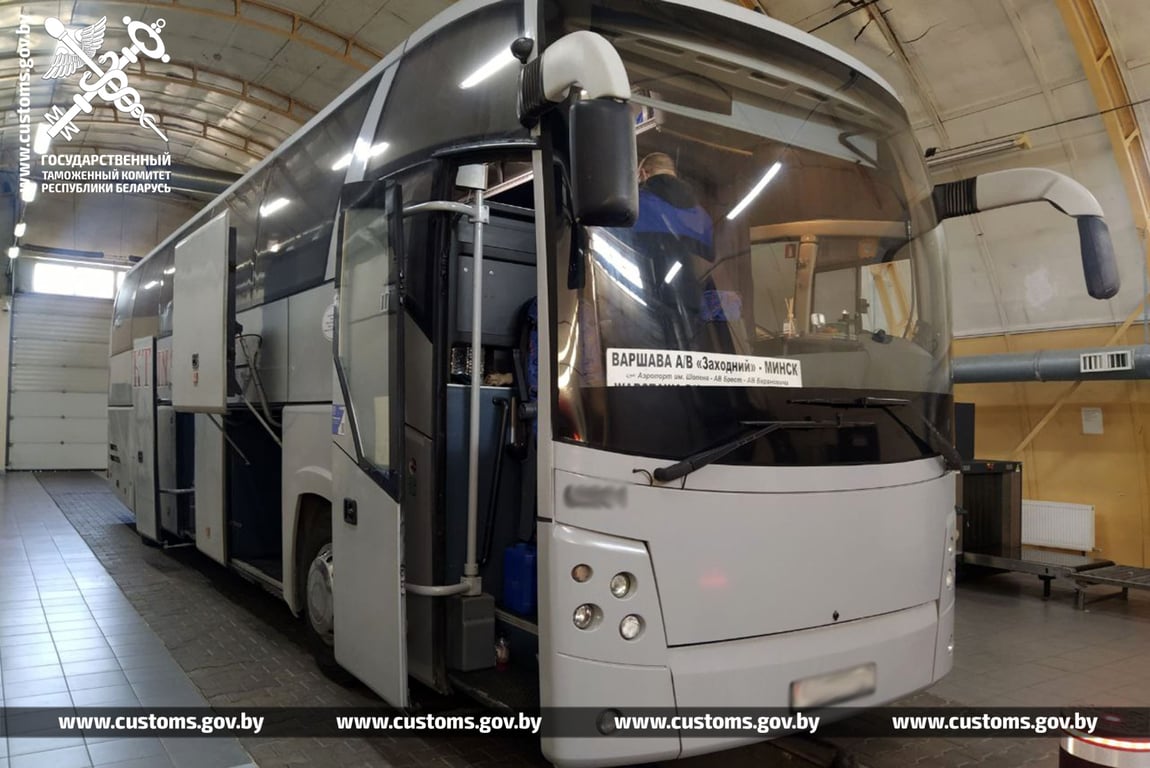 В Беларусь на рейсовом автобусе пытались провезти питонов