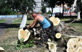 Одни деревья упали, другие держатся на честном слове. Как убирают бурелом во дворах Гомеля