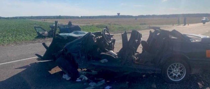 Жительница Каменецкого района получила 6 лет химии за аварию с двумя погибшими