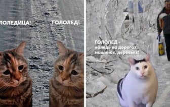 «Лучше, чем СМС» — МЧС Беларуси предупредило о гололедице с помощью мемных котиков и завоевало тысячи людей в TikTok — Видео