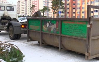 Ёлки получат вторую жизнь после праздников – в Бресте наладили систему утилизации