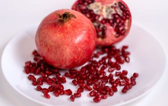 Украина запустила серийное производство ракет-дронов "Паляниця"