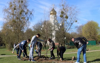 В Гродно пройдет еще один субботник — что планируют сделать