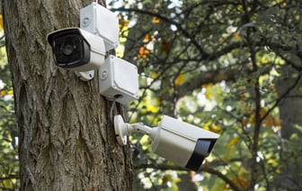 Минлесхоз пообещал устранить «серые места» системы видеонаблюдения в белорусских лесах и устроить круглосуточные дежурства