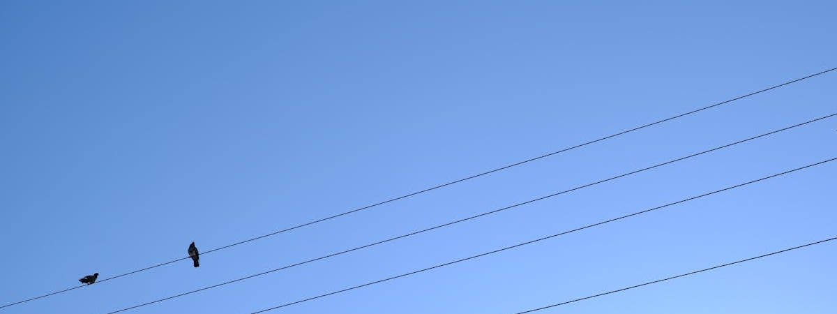 Страны Балтии уведомляют РФ и Беларусь о выходе из единой энергосистемы