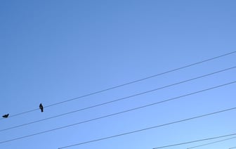 Страны Балтии уведомляют РФ и Беларусь о выходе из единой энергосистемы