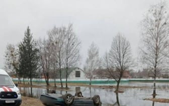 Водитель потерял сознание и выехал на полосу встречного движения. Подробности ДТП в Брестской области