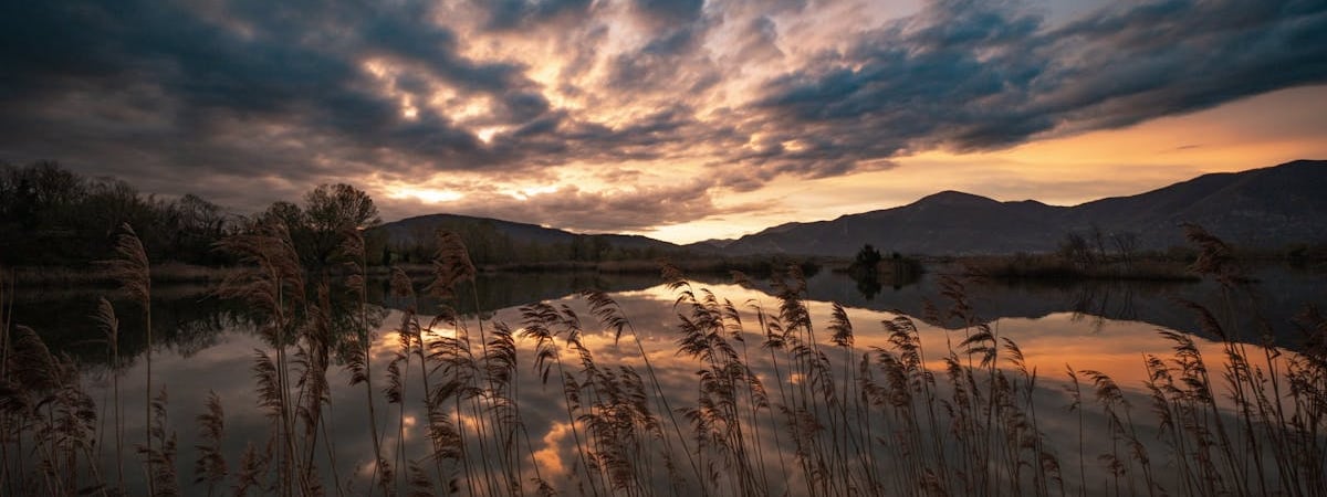 Белорусский батутист Литвинович взял золото на Олимпиаде в Париже