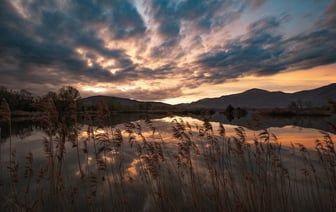 Белорусский батутист Литвинович взял золото на Олимпиаде в Париже