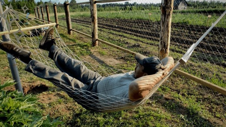 Фото из открытых источников (иллюстративное)