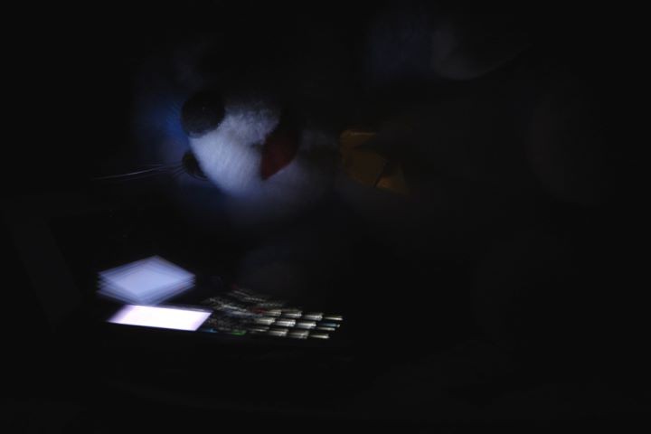 Фото из открытых источников (иллюстрация)