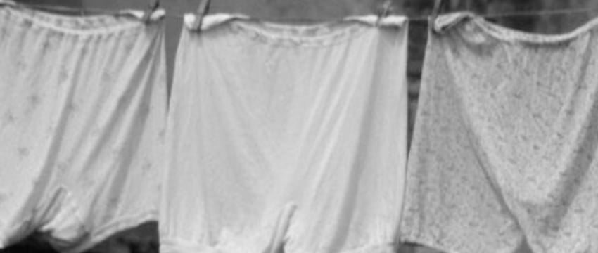 Необычный инцидент в Ганцевичском районе