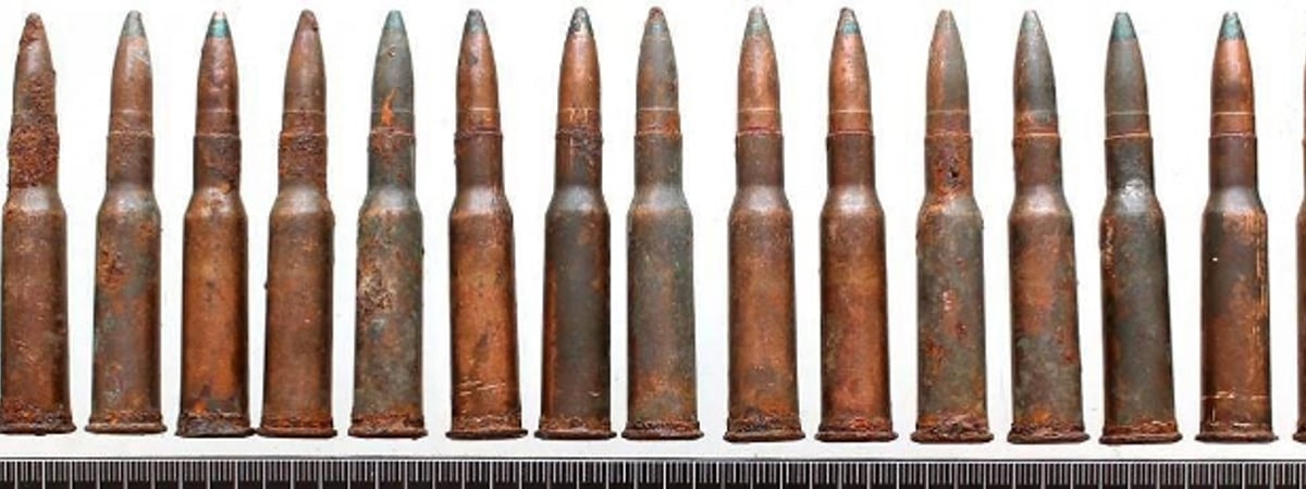 В Гродно парень выкопал на даче патроны