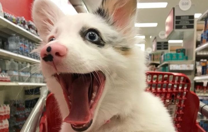 Фото из открытых источников (иллюстративное)