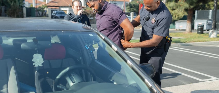 Гусь застрял на льду пруда в Мядельском районе — на помощь пришли спасатели