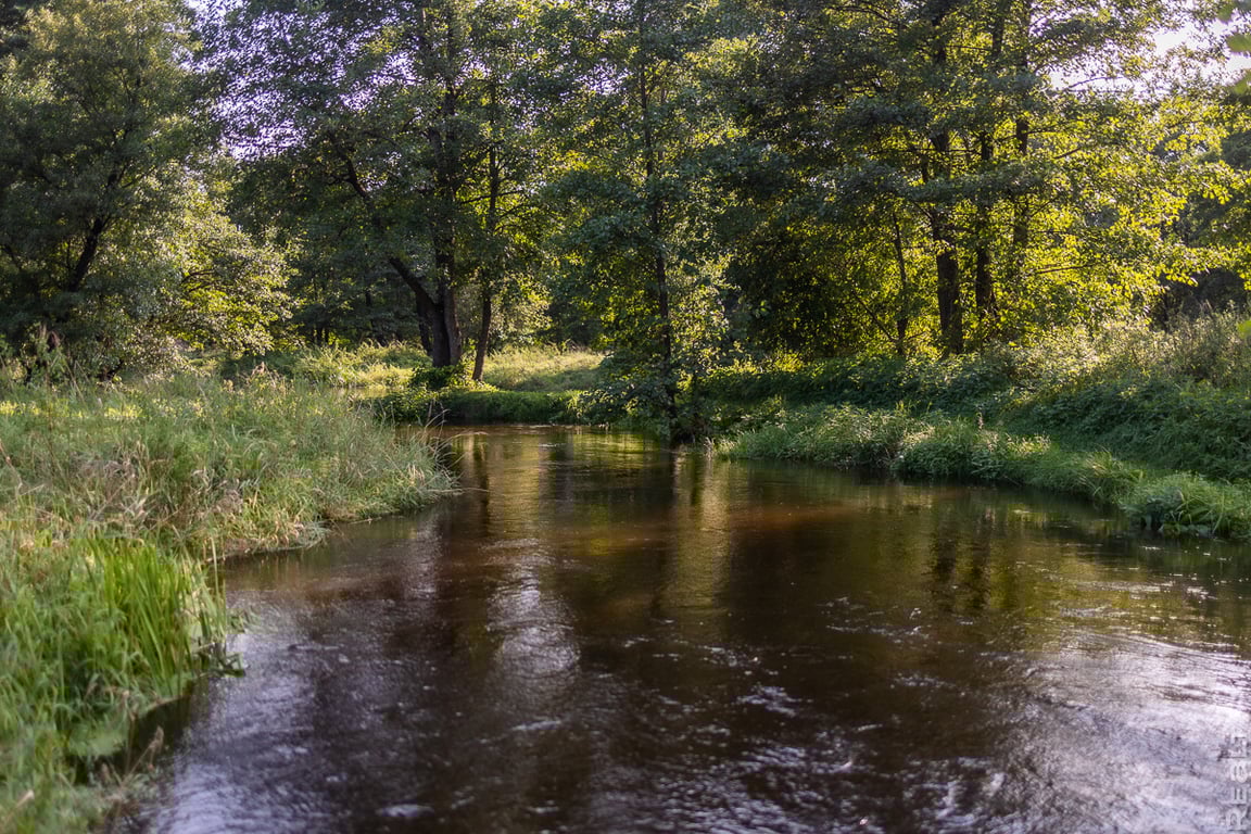 Молодая семья построила уютный дом из старого сруба. Побывали у них в гостях