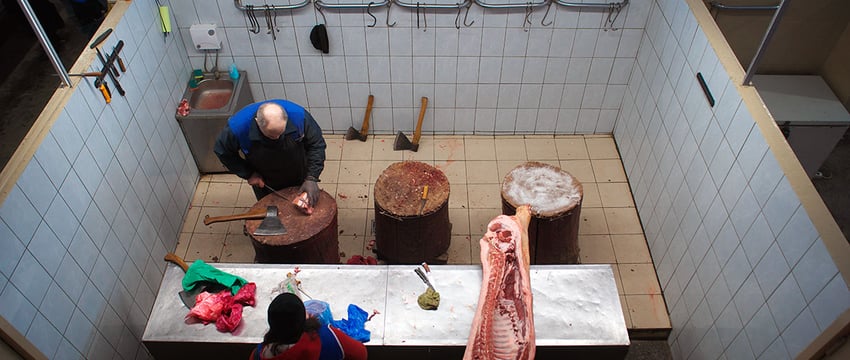 Почти половина расходов на питание у жителей Витебщины идет на мясо и молочку