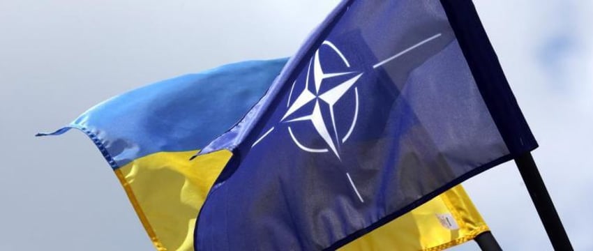 Украина не будет требовать членства в НАТО в этом году