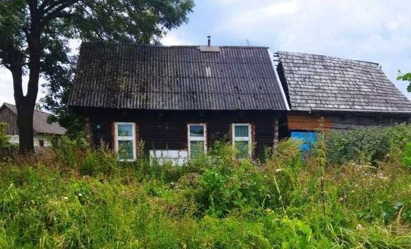 Смотрим дома в деревнях, которые продаются через аукцион от 40 рублей