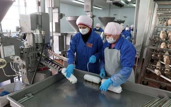 Совмин распорядился погасить из бюджета часть кредитов семи белорусских предприятий — Официально