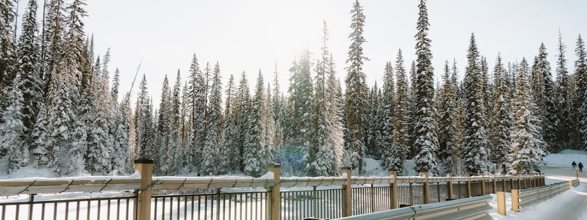 Россия в ночь на 2 февраля атаковала Украину полусотней дронов