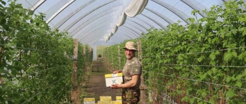 Как шмели из Голландии помогают предпринимателю в Брестской области